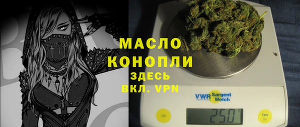 мдпв Богородск