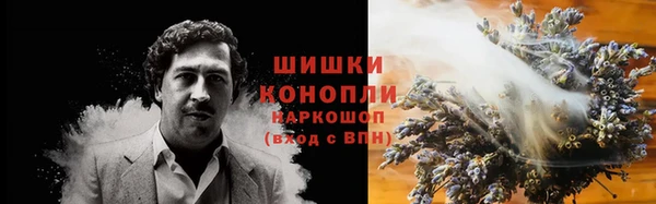 мдпв Богородск