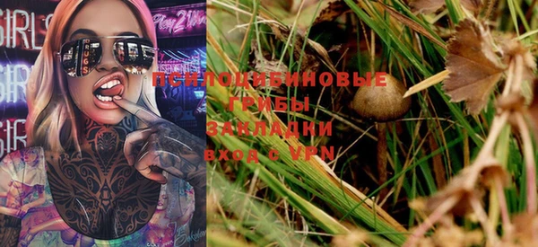 ешки Богданович