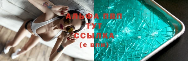 ешки Богданович