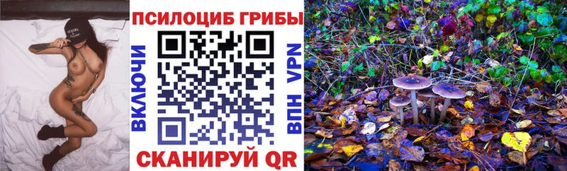 Псилоцибиновые грибы ЛСД  как найти закладки  Сретенск 